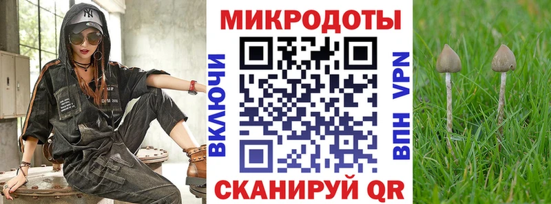 наркошоп  OMG зеркало  Галлюциногенные грибы прущие грибы  Ахтырский 